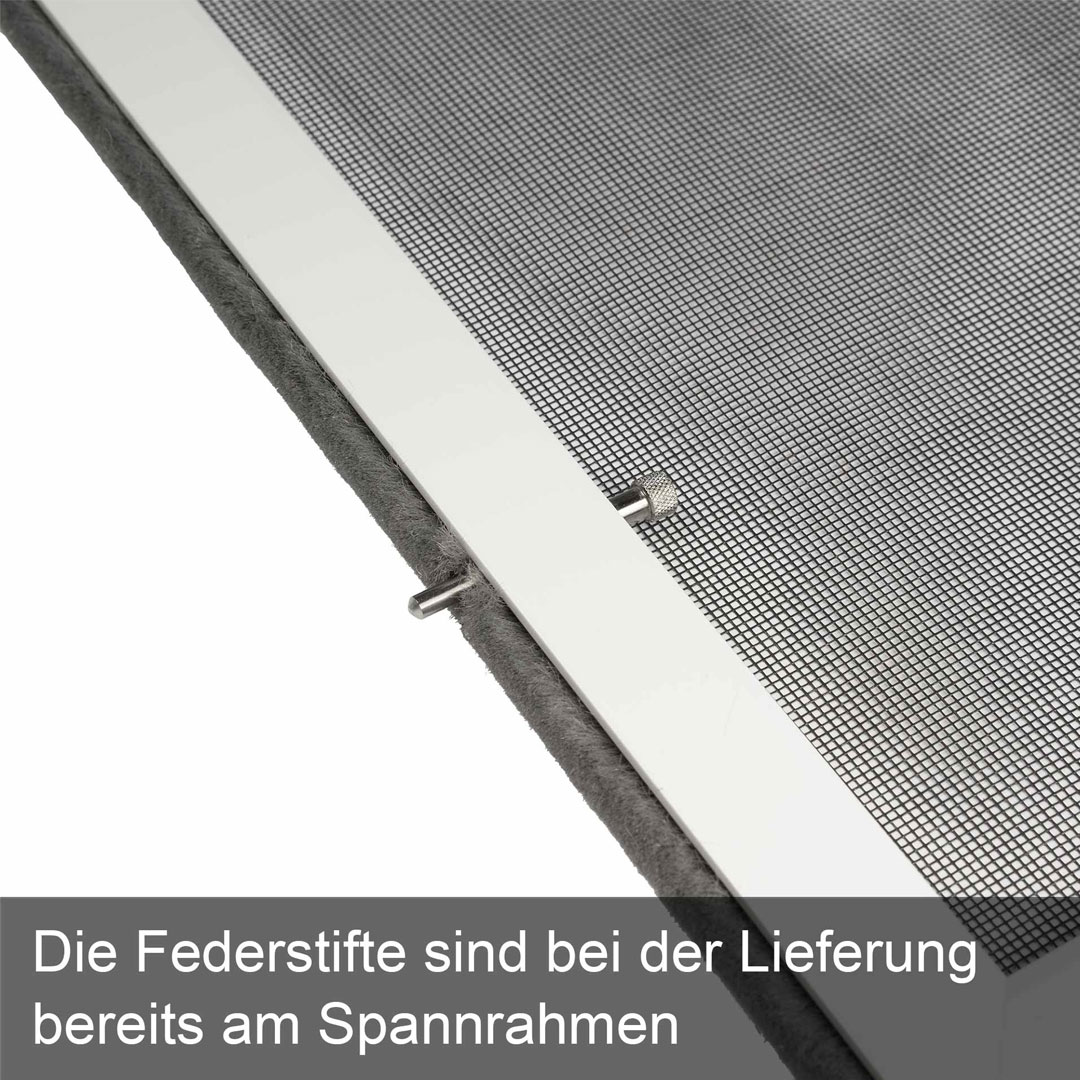 Federstift befestigt im Spannrahmen mit Text