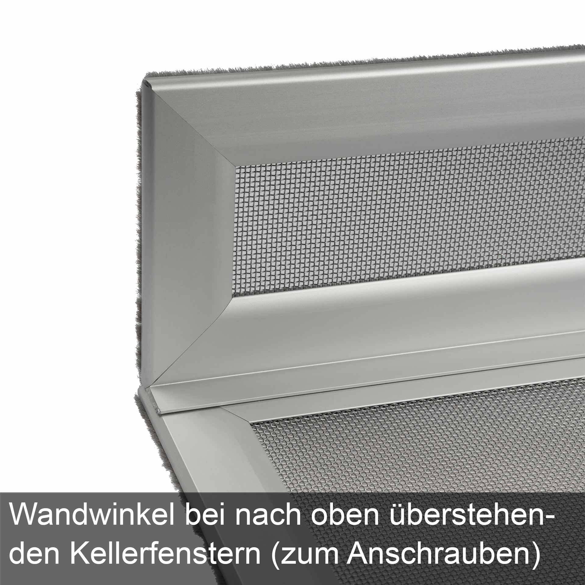 Lichtschachteinsatz, auch mit Sicherungskette für mehr Sicherheit | Cleanline-Safe Lichtschachteinsatz, auch mit Sicherungskette für mehr Sicherheit | Cleanline-Safe