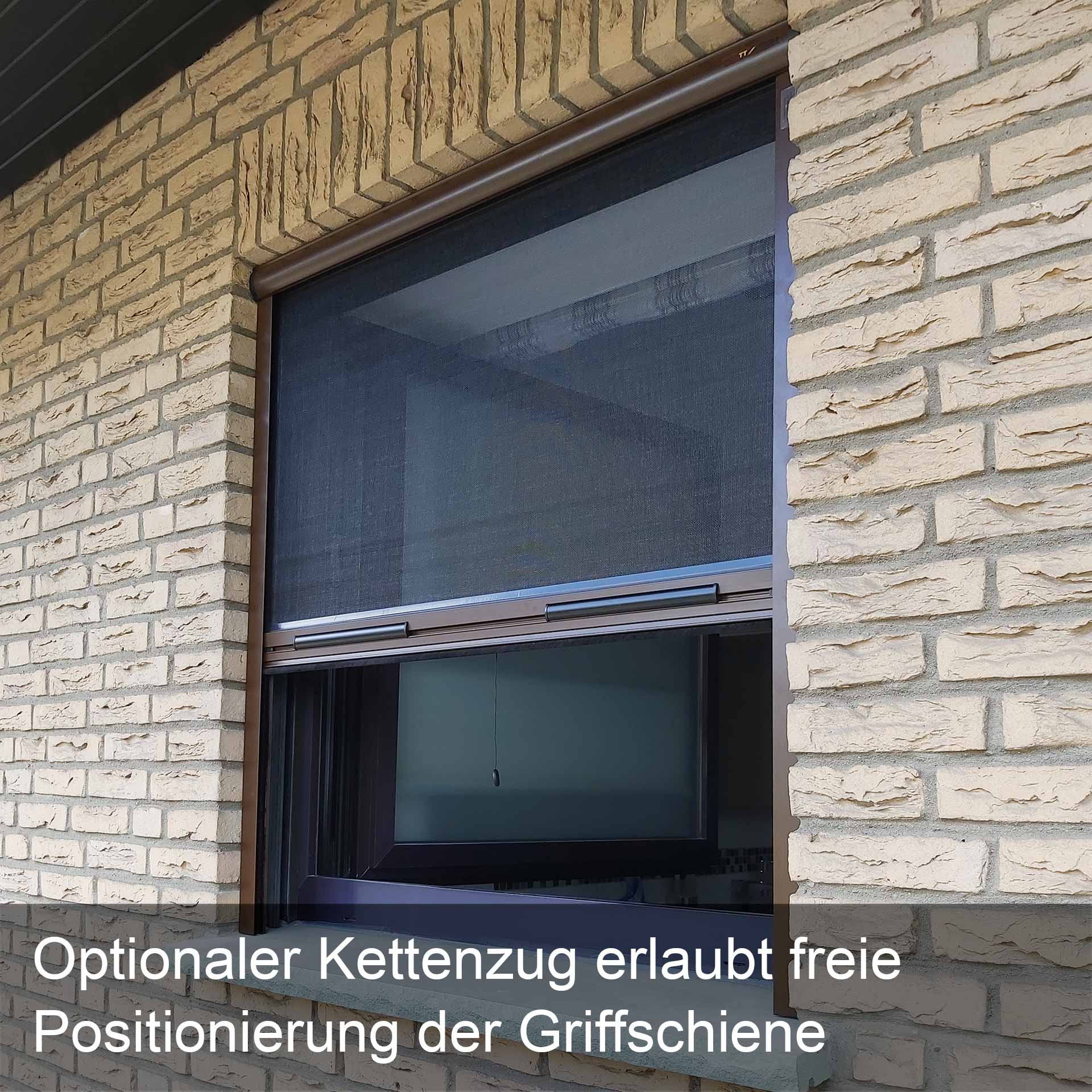 Insektenschutzrollo für Fenster | auch mit Kettenzug möglich | Multiline