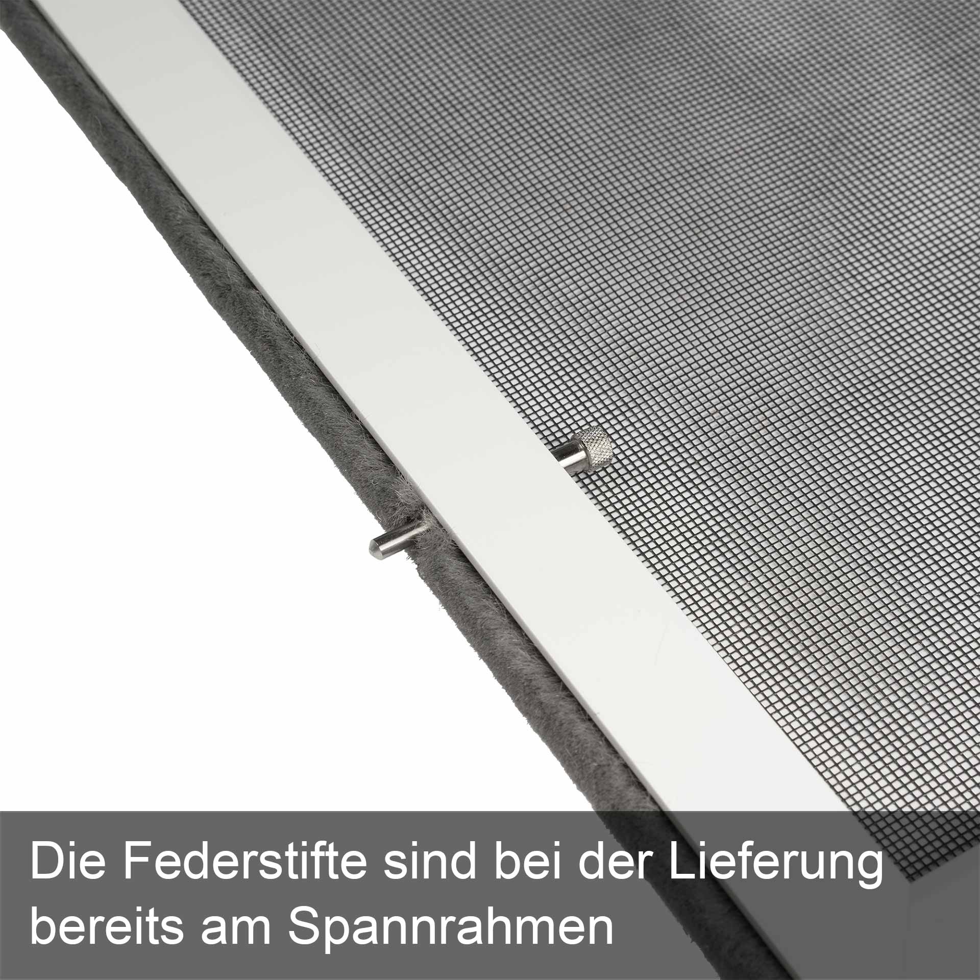 Federstift befestigt im Spannrahmen mit Text