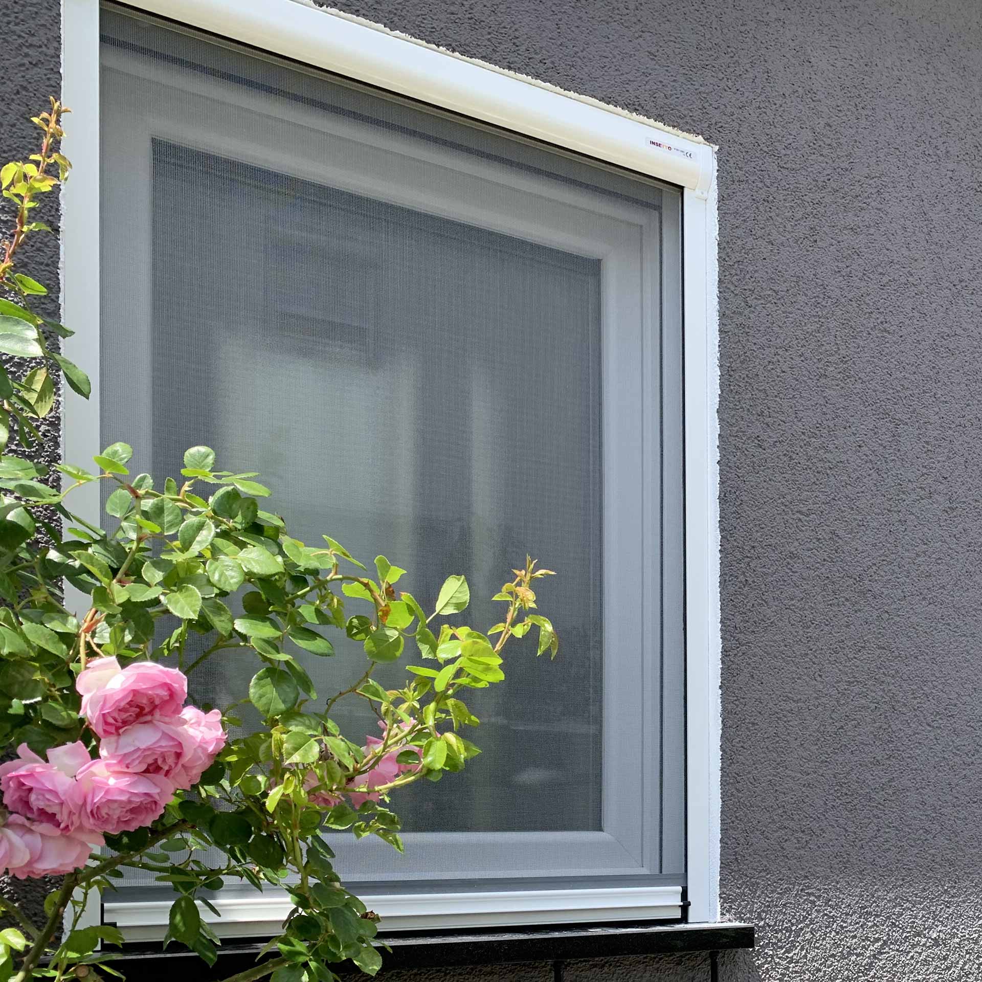 Insektenschutzrollo für Fenster | Rollo-Kasten auch zum Einklemmen | Adria