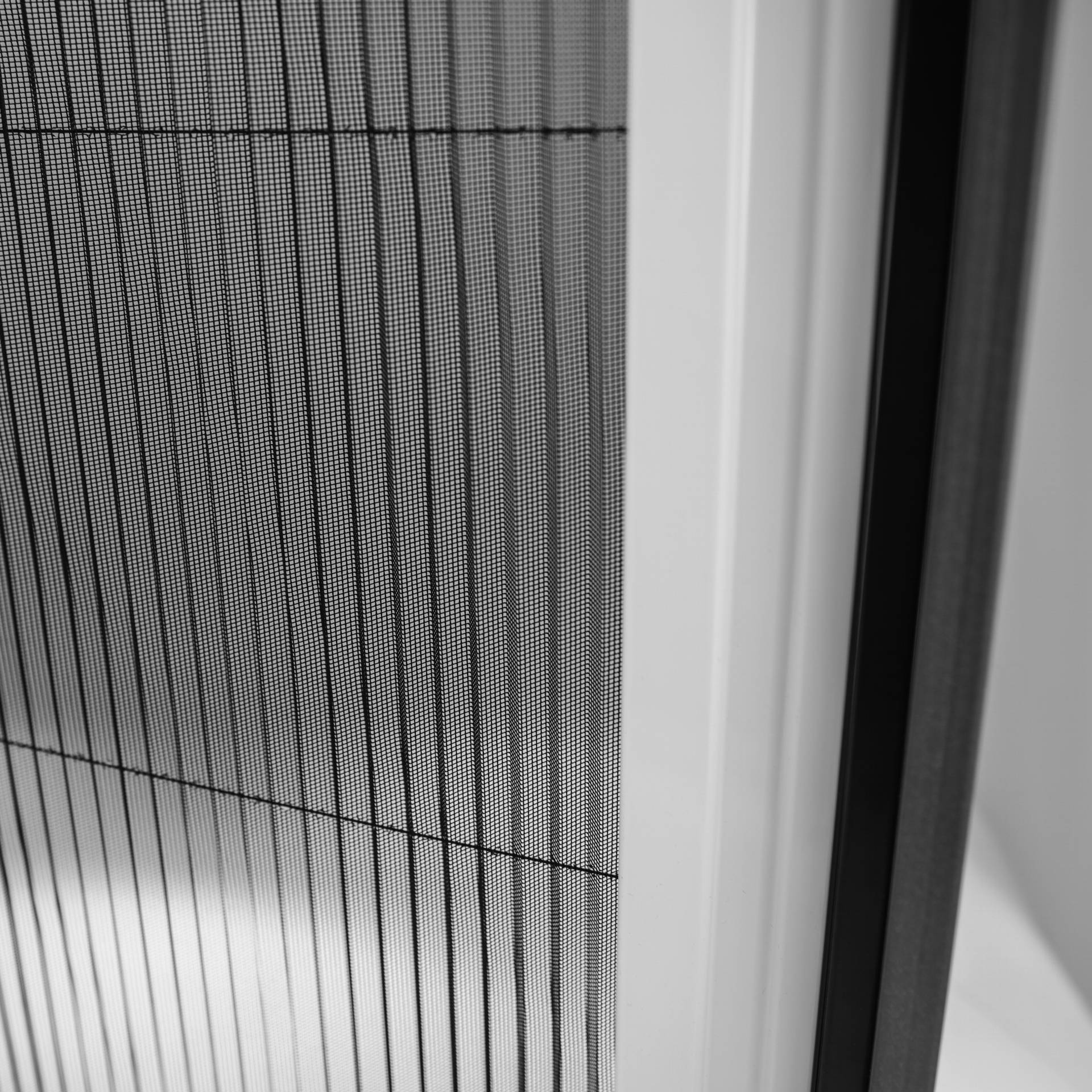 Fliegengitter innerhalb eines weißen Fensterrahmens