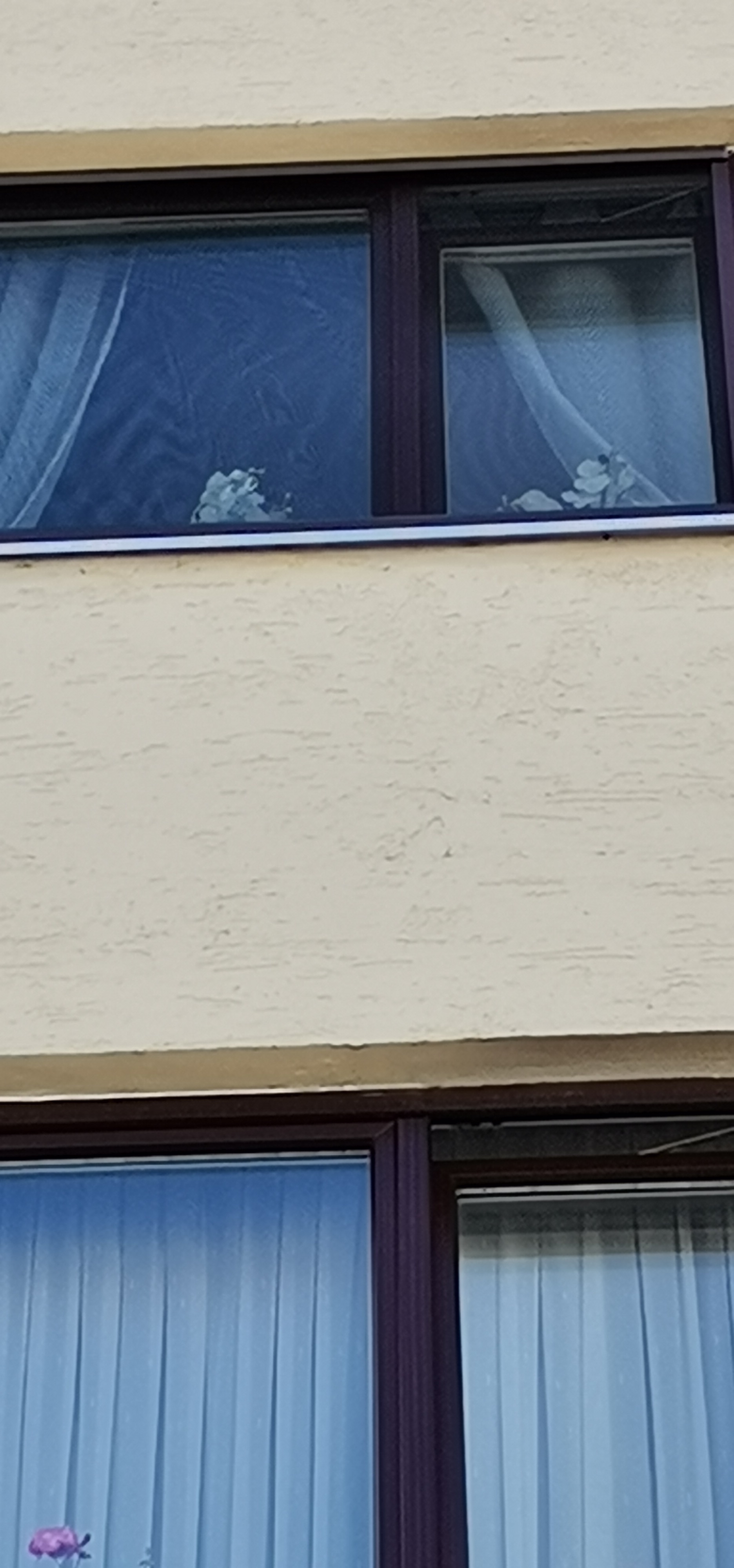 Fliegengitter für Kunststofffenster von innen einhängen