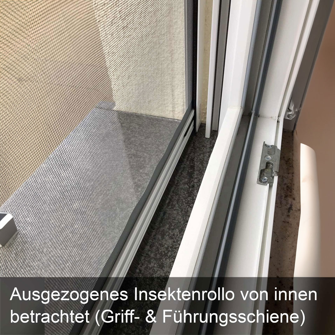 Insektenschutzrollo bei geöffnetem Fenster