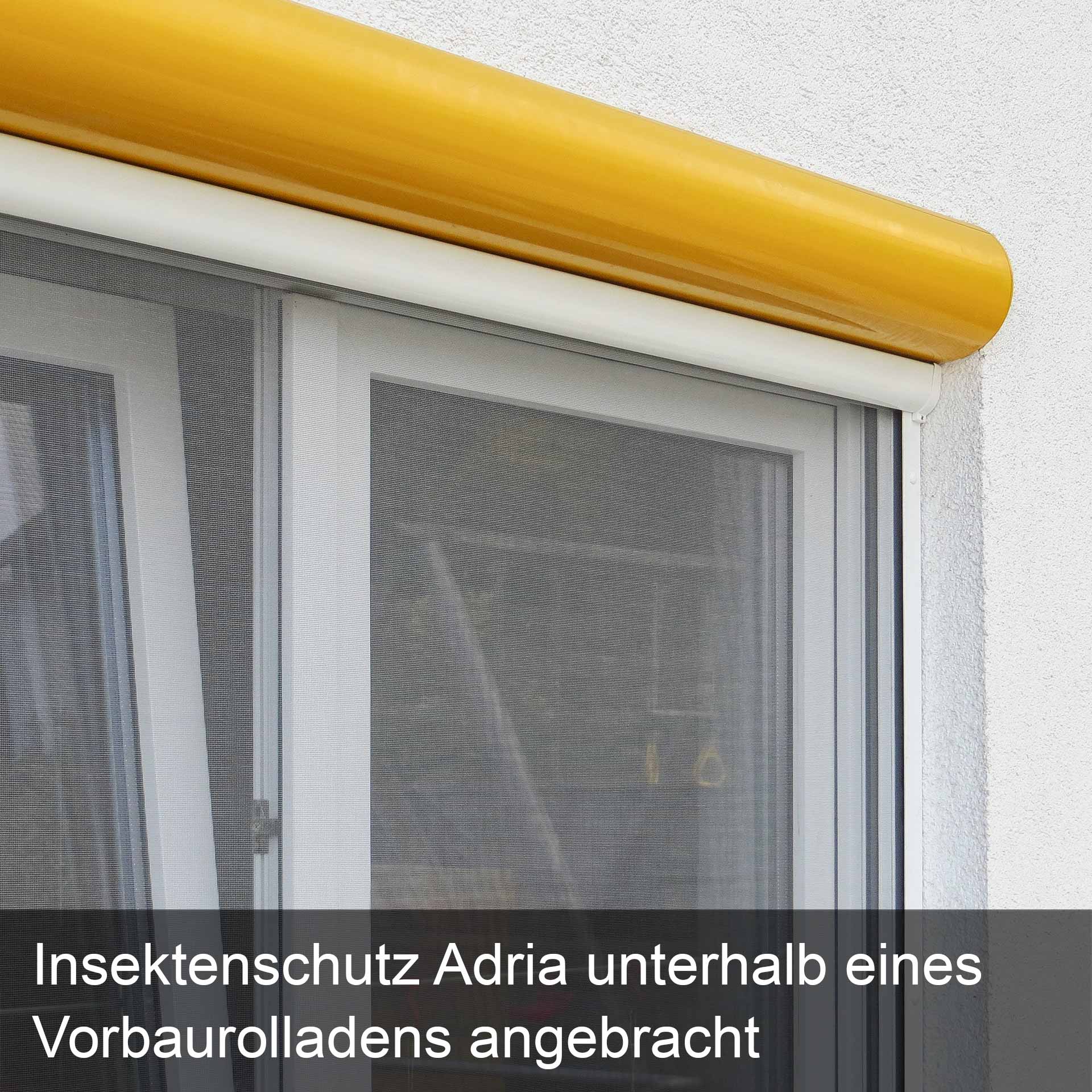 Insektenschutzrollo für Fenster | Rollokasten auch zum Einklemmen | Adria