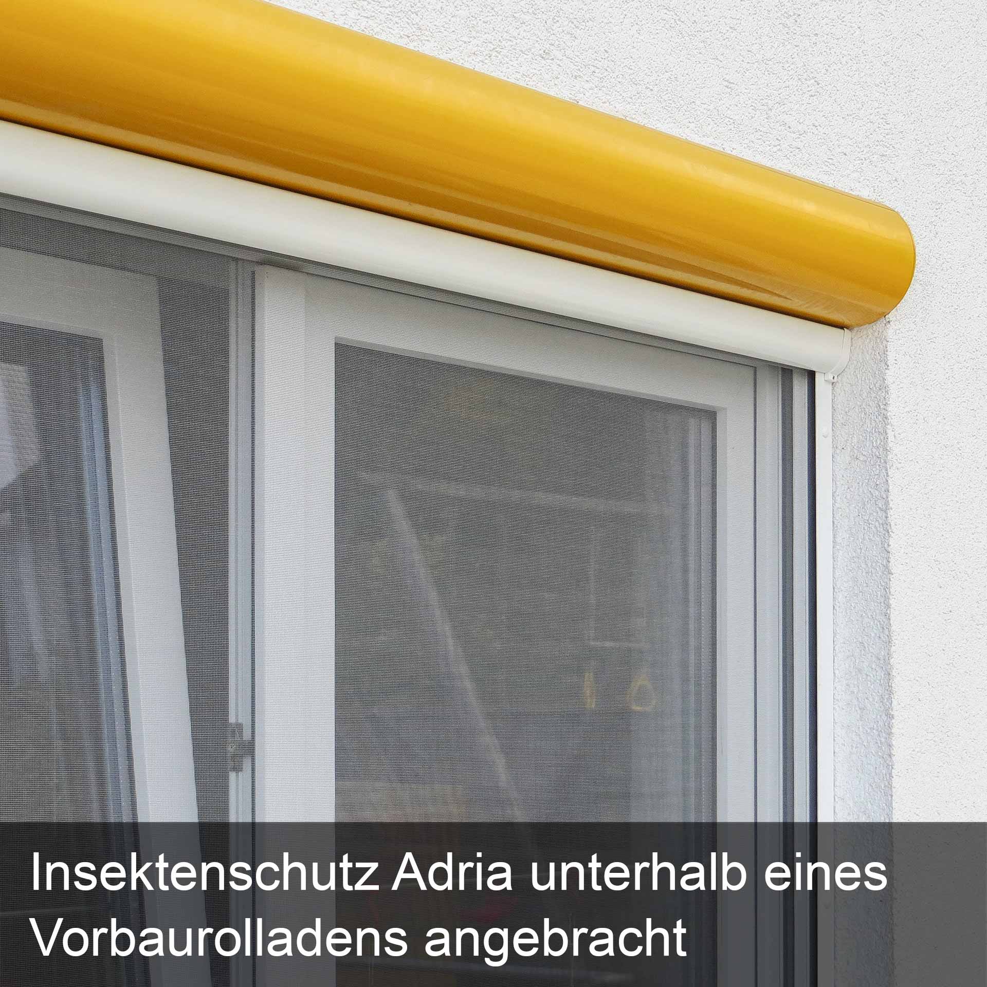 Insektenschutzrollo für Fenster | Rollo-Kasten auch zum Einklemmen | Adria