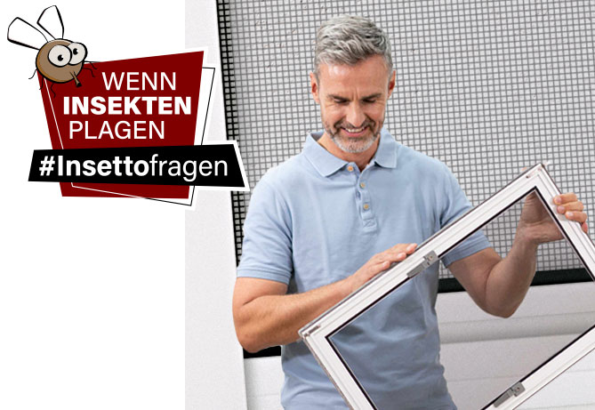 Mann hält Fliegengitterrahmen vor einem Fenster hoch.