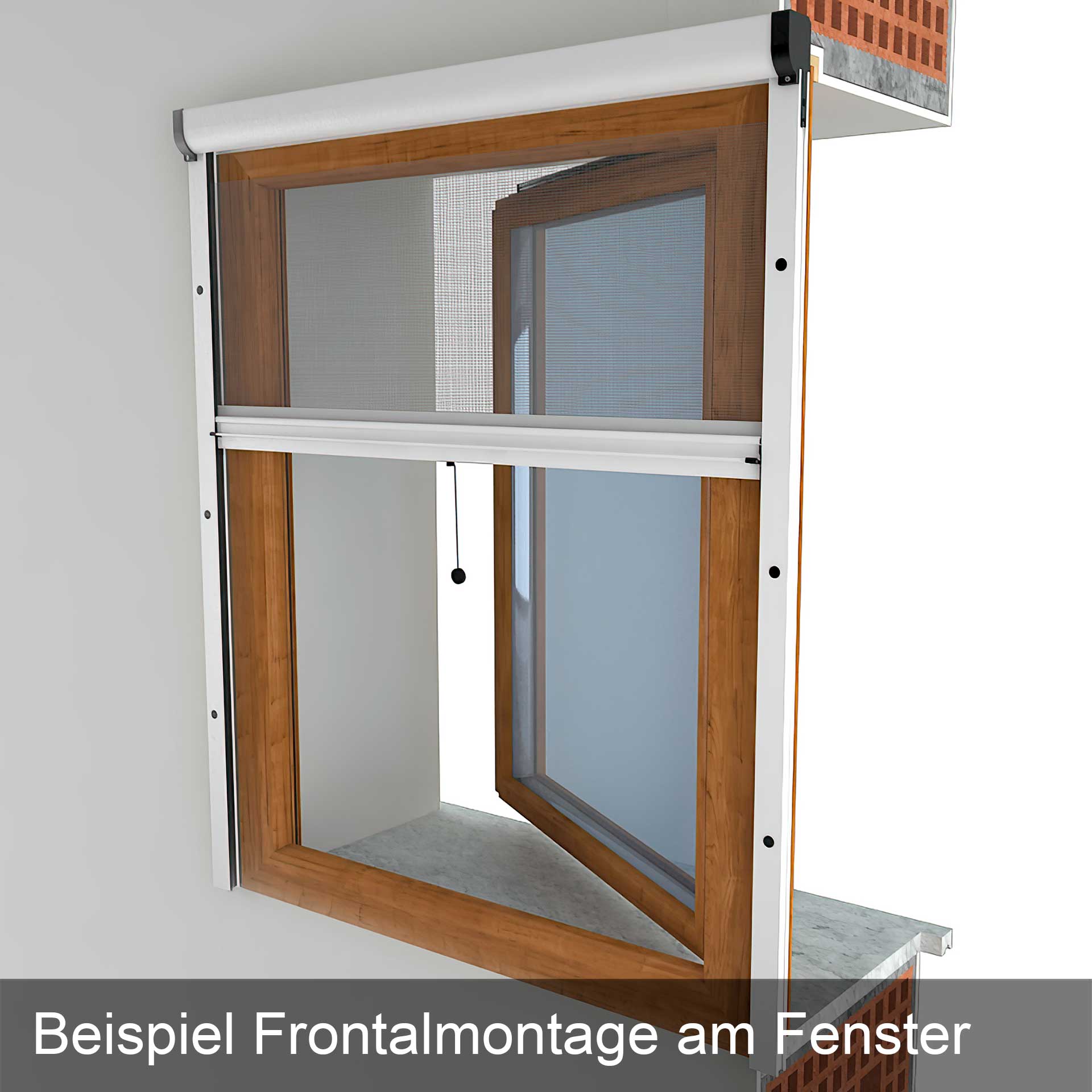 Insektenschutzrollo für Fenster, Rollo-Kasten auch zum Einklemmen, Adria