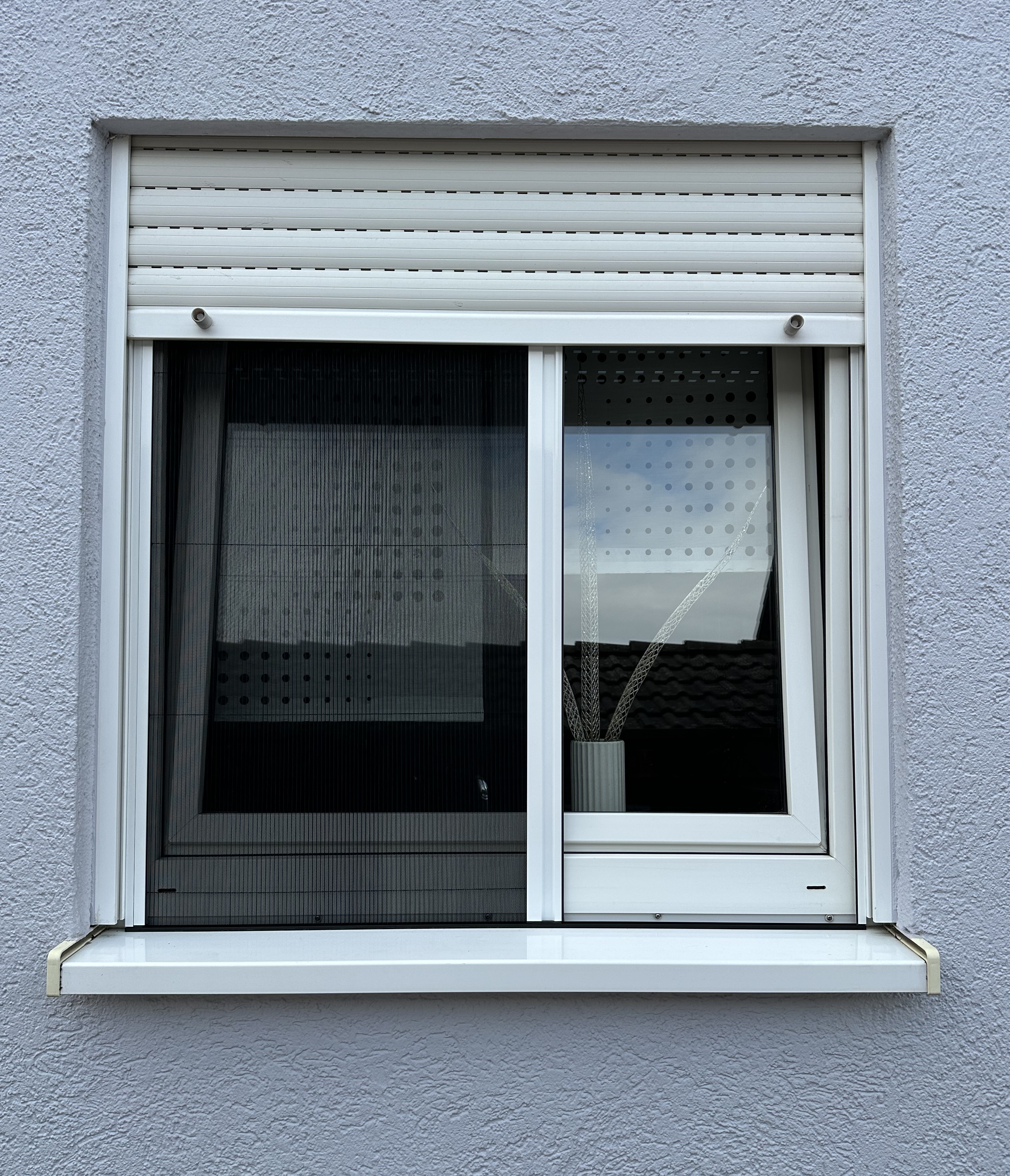 Insektenschutz Zwischen Fenster Und Rollladen