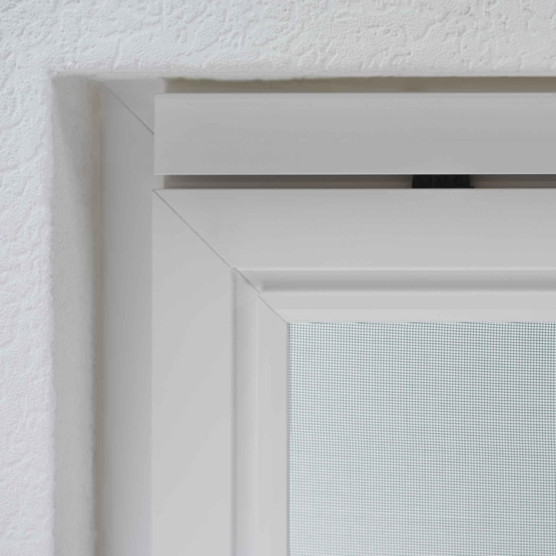 Fliegengitter in einem weißen Fensterrahmen.