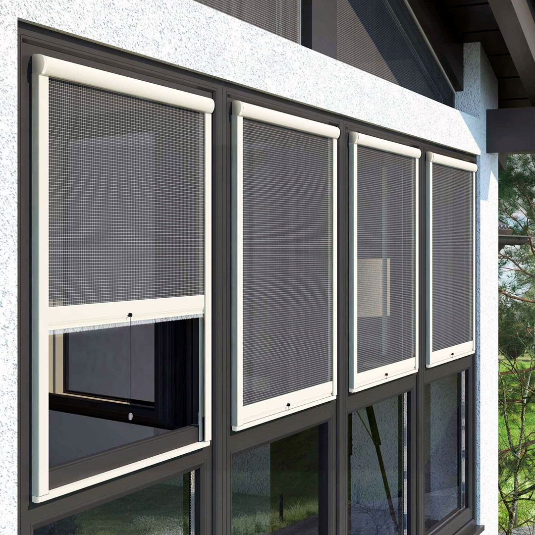 Vier Fenster mit Insektenschutzrollos.