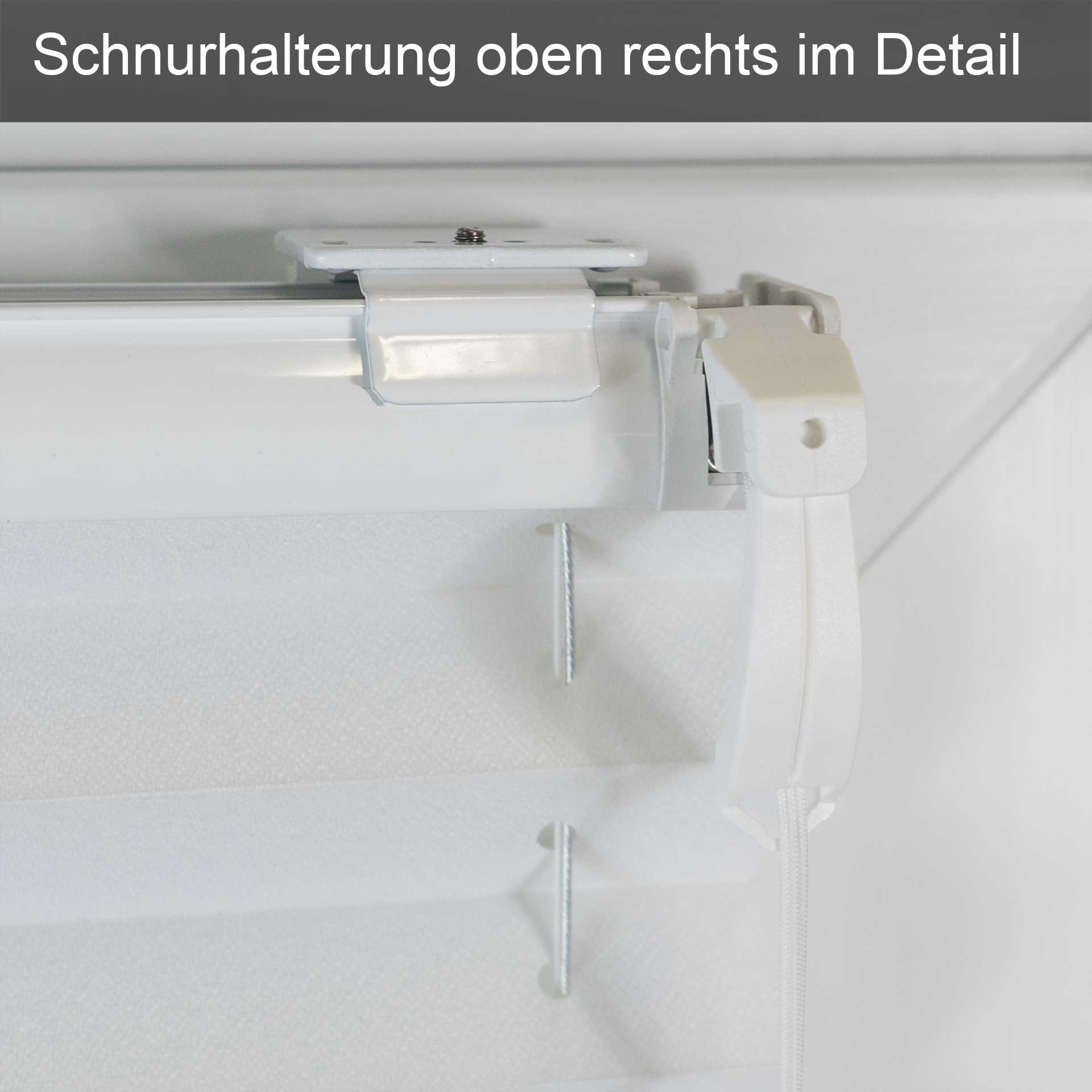 Sonnenschutz-Plissee F1 für Fenster | Fertigung auf Maß | mit Zugschnur Sonnenschutz-Plissee F1 für Fenster | Fertigung auf Maß | mit Zugschnur