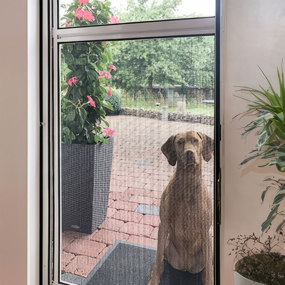 Hund sitzt hinter Fliegengittertür.
