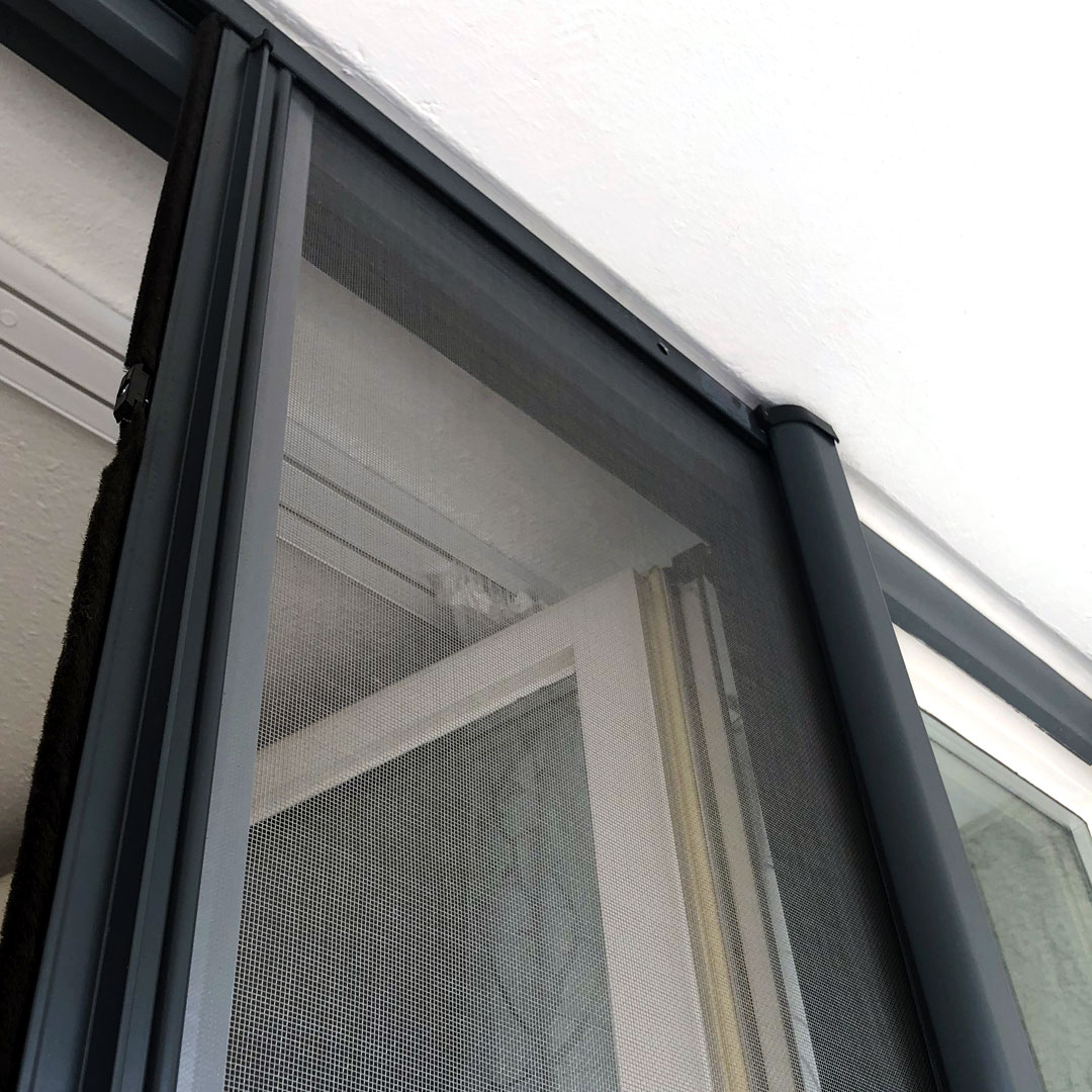 Fliegengitter installiert, vor geöffnetem Fenster.