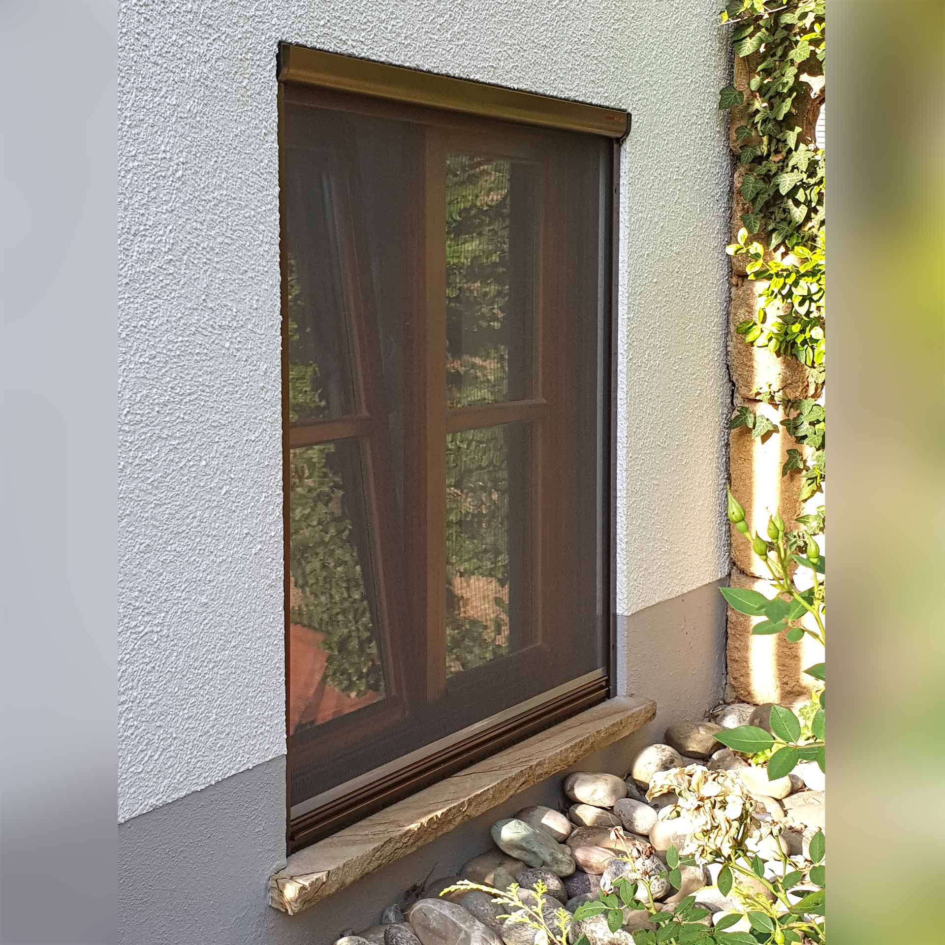 Insektenschutzrollo für Fenster | Rollo-Kasten auch zum Einklemmen | Adria