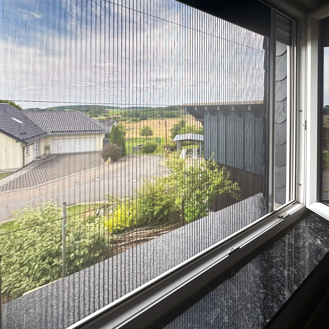 Fliegengitter am Fenster, mit Blick auf ländliche Straße.