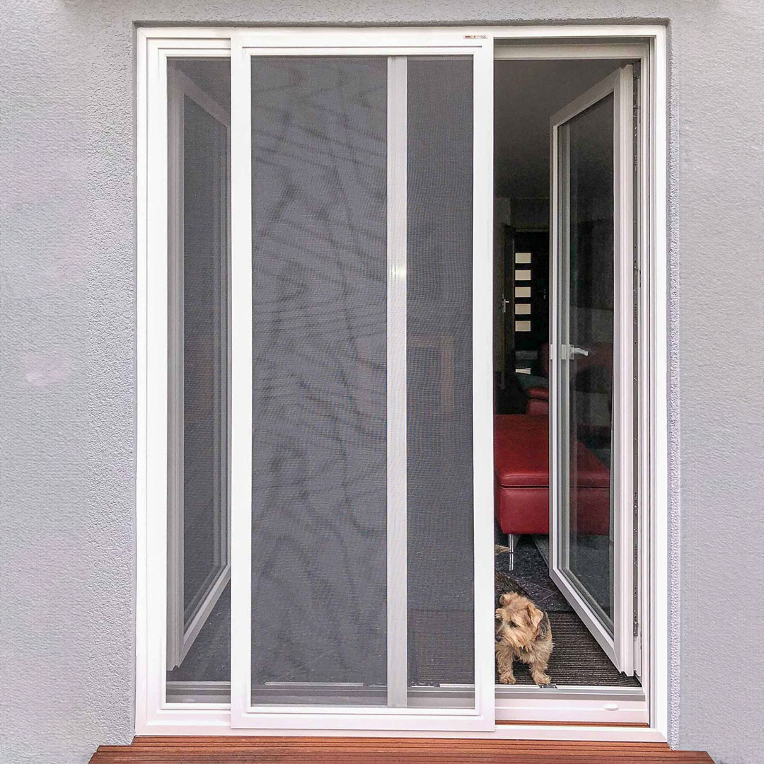Fliegengitter Schiebetür für Doppeltüren | zusammengebaut | Florida Offene Glastür mit Fliegengitter, Blick in Innenbereich, Hund schaut raus.