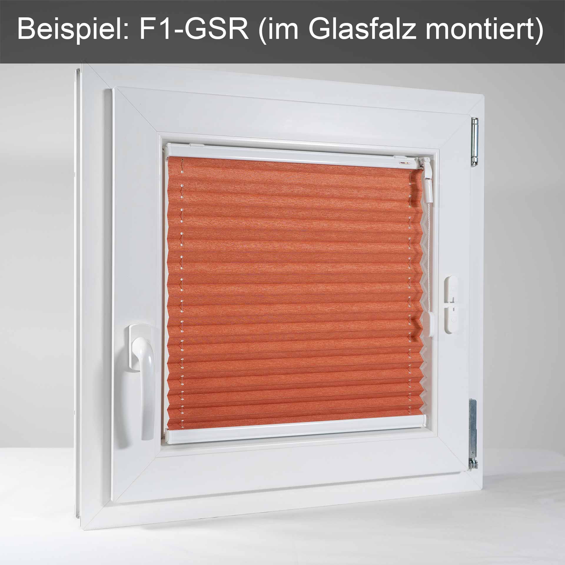 Sonnenschutz-Plissee F1 für Fenster | Fertigung auf Maß | mit Zugschnur Sonnenschutz-Plissee F1 für Fenster | Fertigung auf Maß | mit Zugschnur