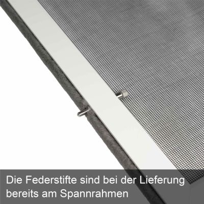 Federstift befestigt im Spannrahmen mit Text