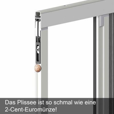 Plisseerahmen mit 2 Cent Münze als Vergleich der Breite und Text