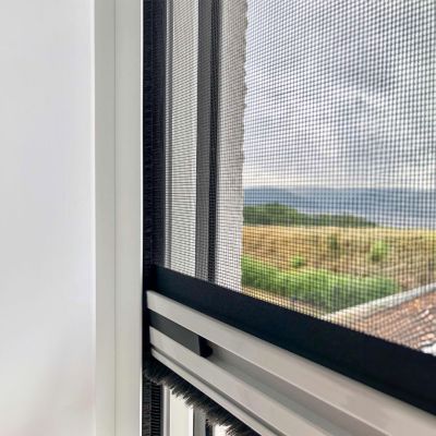 Fliegengitter schützt Fenster, zeigt Ausblick auf Landschaft