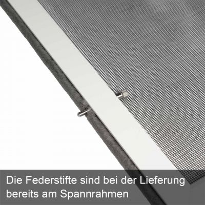 Federstift befestigt im Spannrahmen mit Text