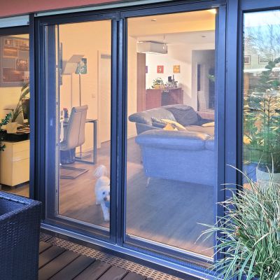 Fliegengittertür schützt Wohnzimmer, Hund beobachtet