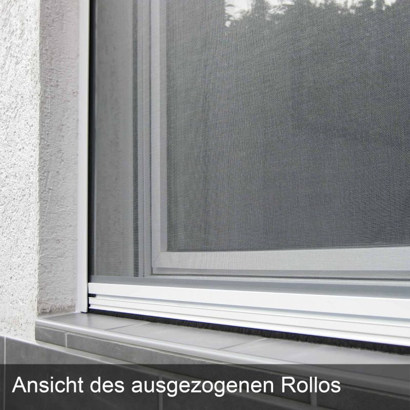 Insektenschutzrollo für Fenster | auch mit Kettenzug möglich | Multiline