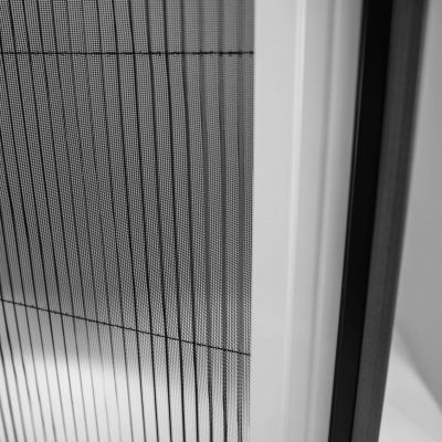 Fliegengitter innerhalb eines weißen Fensterrahmens