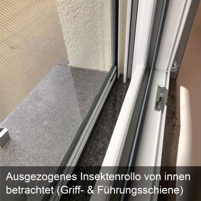 Insektenschutzrollo bei geöffnetem Fenster