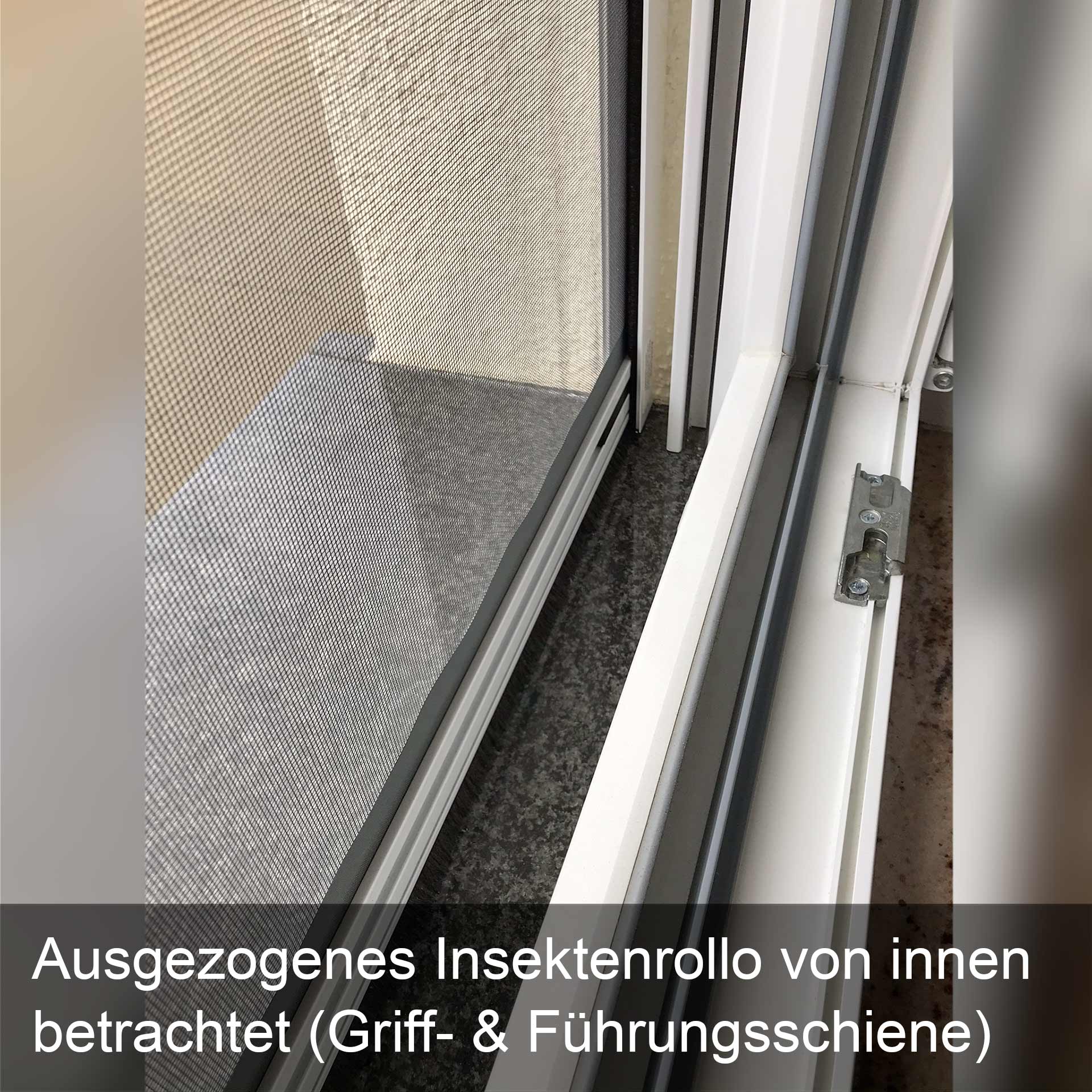 Insektenschutzrollo mit einstellbarer Federspannung für Fenster | Topline