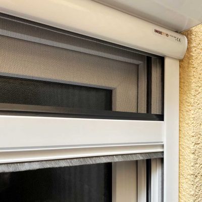 Fliegengitter an einem Fensterrahmen in einem Gebäude