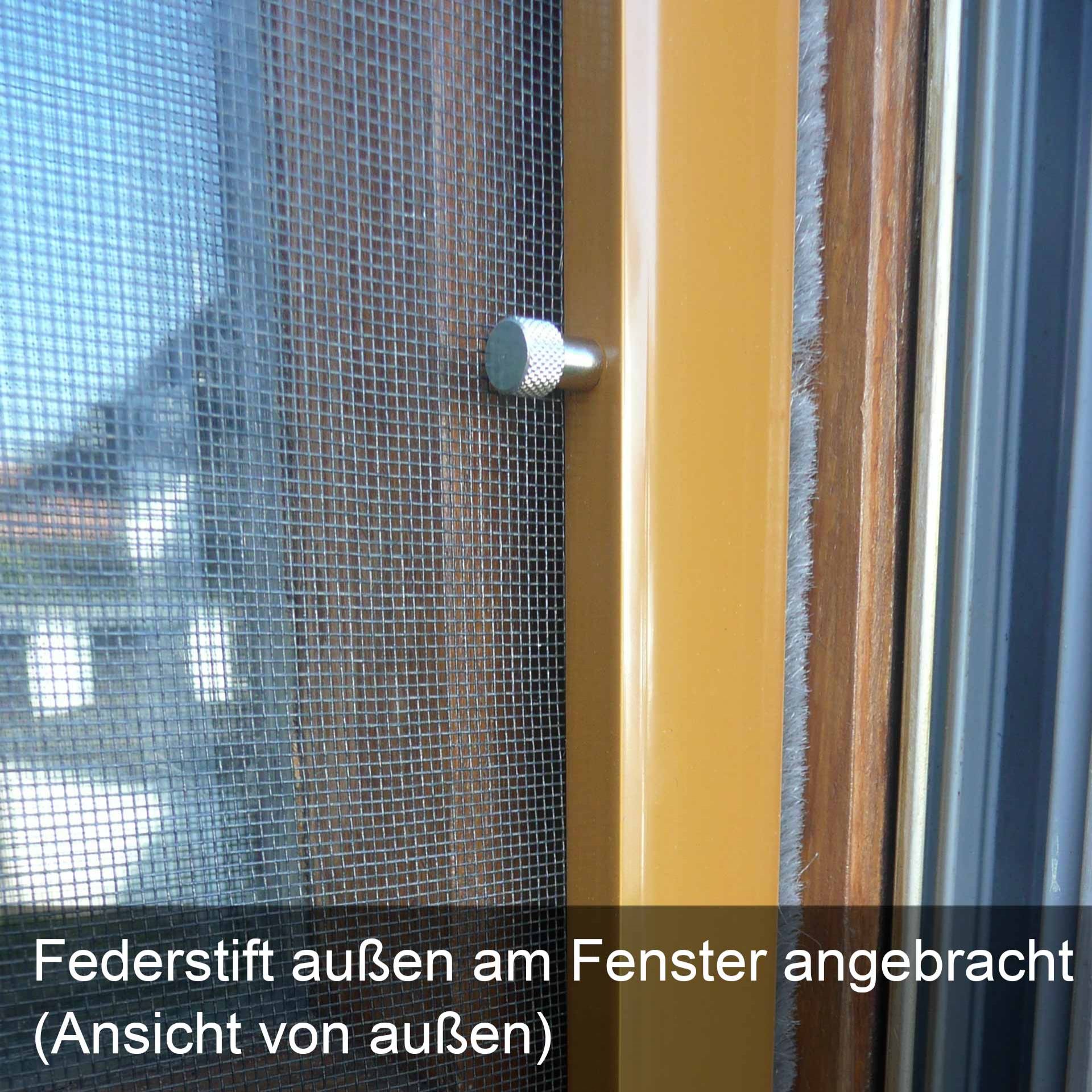 Fliegengitter für Holzfenster, auch bei direkt angrenzendem Rollladen | Flairline