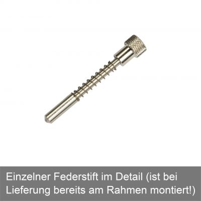 Federstift