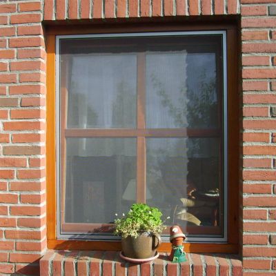 Insektenschutzgitter vor Fenster in roter Ziegelwand mit Pflanze.