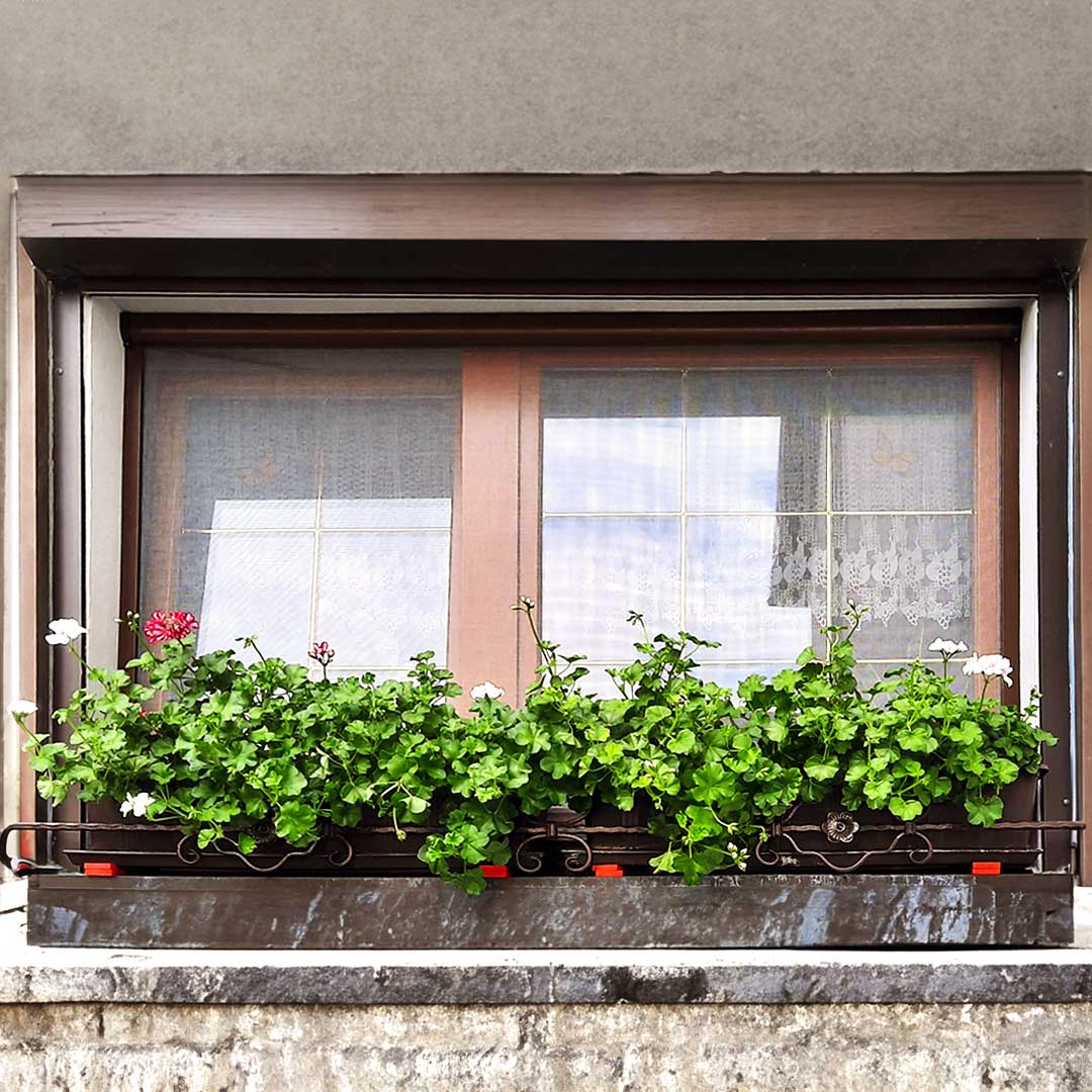 Insektenschutzrollo für Fenster | Rollo-Kasten auch zum Einklemmen | Adria