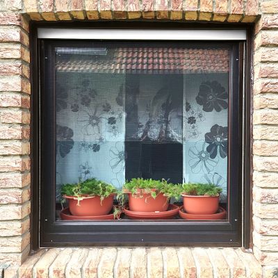 Fenster mit Fliegengitter vor gemustertem Vorhang.