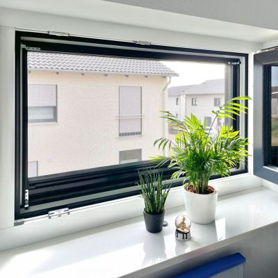 Fliegengitter an geöffnetem Fenster, Zimmerpflanzen auf der Fensterbank.