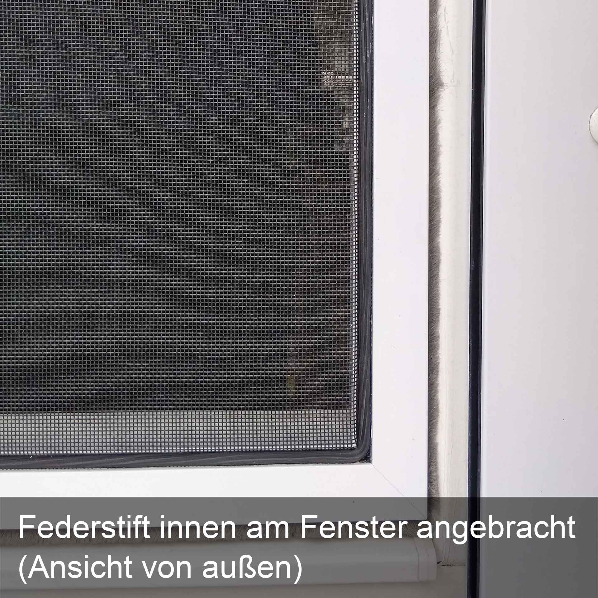 Fliegengitter für Holzfenster, auch bei direkt angrenzendem Rollladen | Flairline