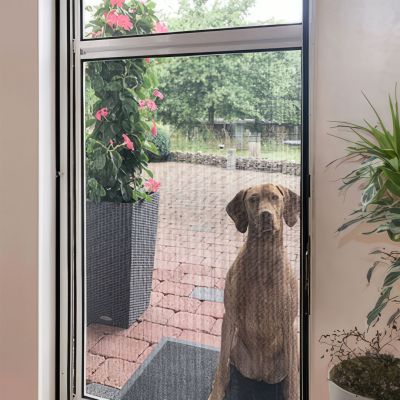 Hund sitzt hinter Fliegengittertür.