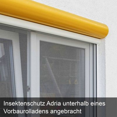 Insektenschutzgitter, montiert, unterhalb eines gelben Vorbaurollladens an einem Fenster.