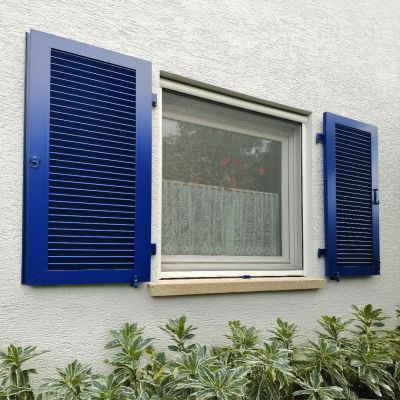 Fenster, mit Fliegengitter, zwischen blauen Fensterläden und Pflanzen.