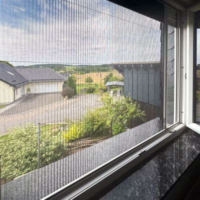 Fliegengitter am Fenster, mit Blick auf ländliche Straße.