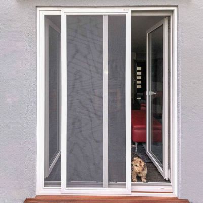 Offene Glastür mit Fliegengitter, Blick in Innenbereich, Hund schaut raus.