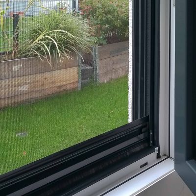 Fliegengitter vor Fenster mit Blick auf Garten.