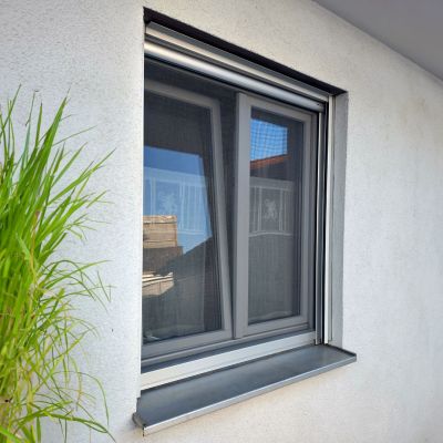 Fensterfliegengitter, montiert an Hauswand neben grüner Pflanze.